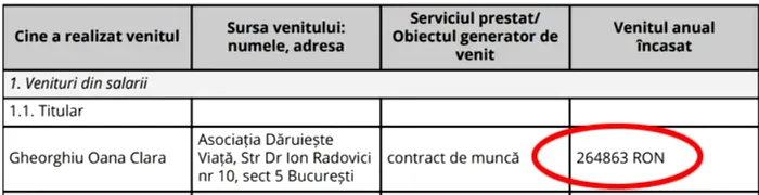Scandal în coaliție, după devăluirea Gândul referitor la salariul Oanei Gheorghiu