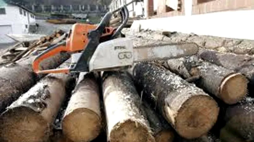 Varga: Accesul comercianților în pădure va fi interzis, orice furt de lemn, sancționat penal