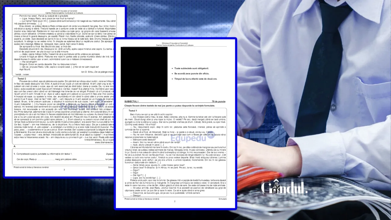 Ce subiecte s-au dat la simularea pentru Evaluarea Națională. Întrebarea care i-a pus în dificultate pe elevii de clasa a VIII-a