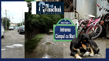 VIDEO EXCLUSIV | Imaginile nepăsării din Sectorul 1. Sute de locuitori din cea mai bogată administrație trăiesc aproape ca în Evul Mediu