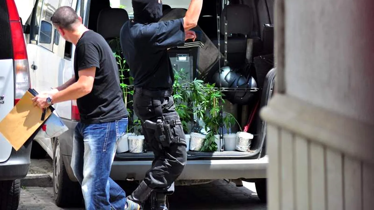 Poliția a confiscat în acest sezon DROGURI DE PESTE 600.000 EURO pe litoral
