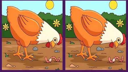 TEST de logică | Găsiți cele 3 diferențe dintre aceste două găini, în maximum 19 secunde