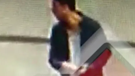 Parchetul General a preluat un dosar cu o fetiță din Iași agresată sexual. Făptașul ar fi olandezul / Poliția a cerut sprijin după doi ani de la incident - VIDEO / FOTO