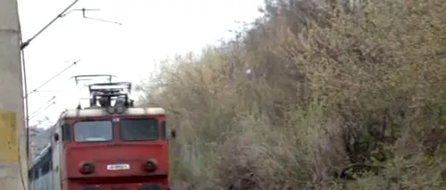 Suceava: Trafic feroviar blocat după ce trei copaci au căzut pe calea ferată, din cauza furtunii