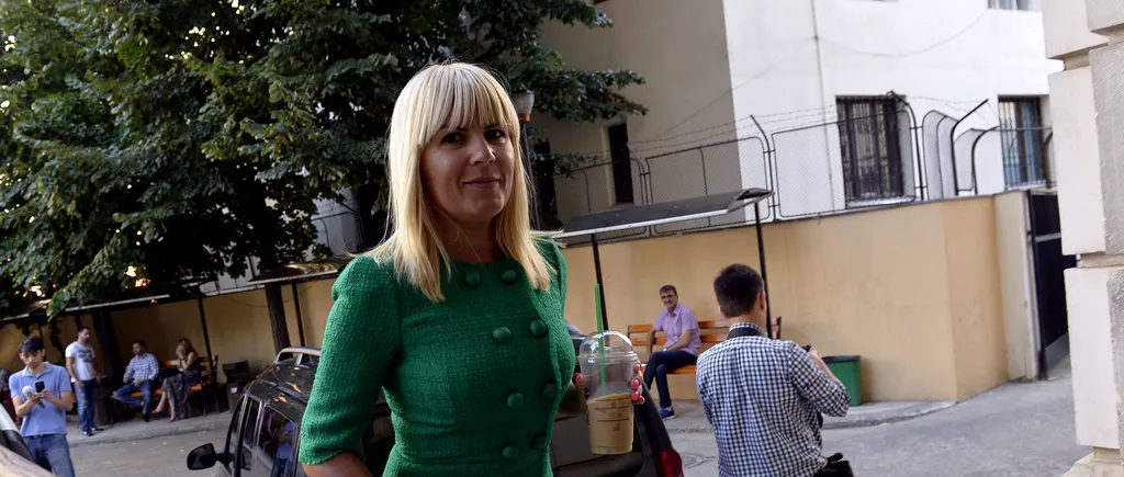 Elena Udrea, liberă să plece din țară. Decizia din această seară este definitivă