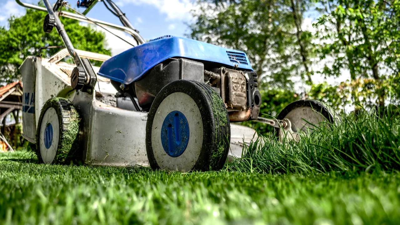 Pedeapsa neobișnuită primită de un gorjean acuzat că făcea trafic de cannabis. Unde a fost pus să tundă iarba