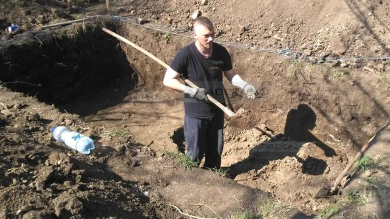 Descoperire macabră a unui arădean care s-a apucat să sape în curtea casei. Poliția n-are nicio explicație