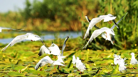 Cel mai frumos loc de vacanță în fiecare țară din Uniunea Europeană