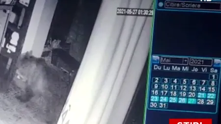 O ursoaică și puii ei au intrat într-un restaurant, la Băile Tușnad: „Așa nu se mai poate”