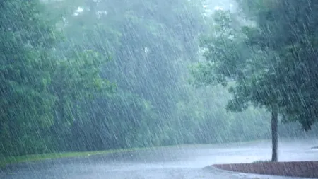 ANM, nouă avertizare meteo. Cod galben și cod portocaliu de ploi și vânt