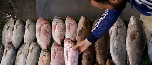 Care este ȚARA în care poți cumpăra doar două kilograme de pește sau jumătate de cutie de ouă cu salariul minim