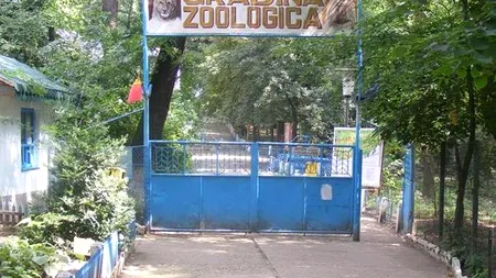Grădina Zoologică din Bârlad vinde 200 de animale. 
