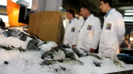 Comisar UE: Pescuitul ilegal în Marea Neagră - o problemă; copiii noștri ar putea rămâne fără pește