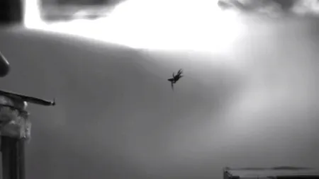 VIDEO. Cum 