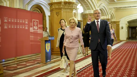 Corvul și porumbița - suvenire de neuitare