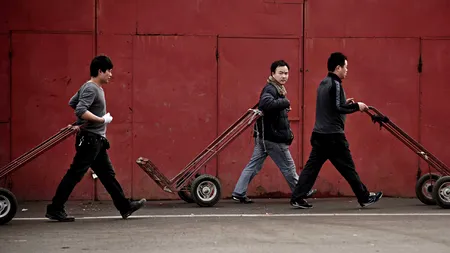 Gripa aviară H7N9 a provocat 16 decese în China