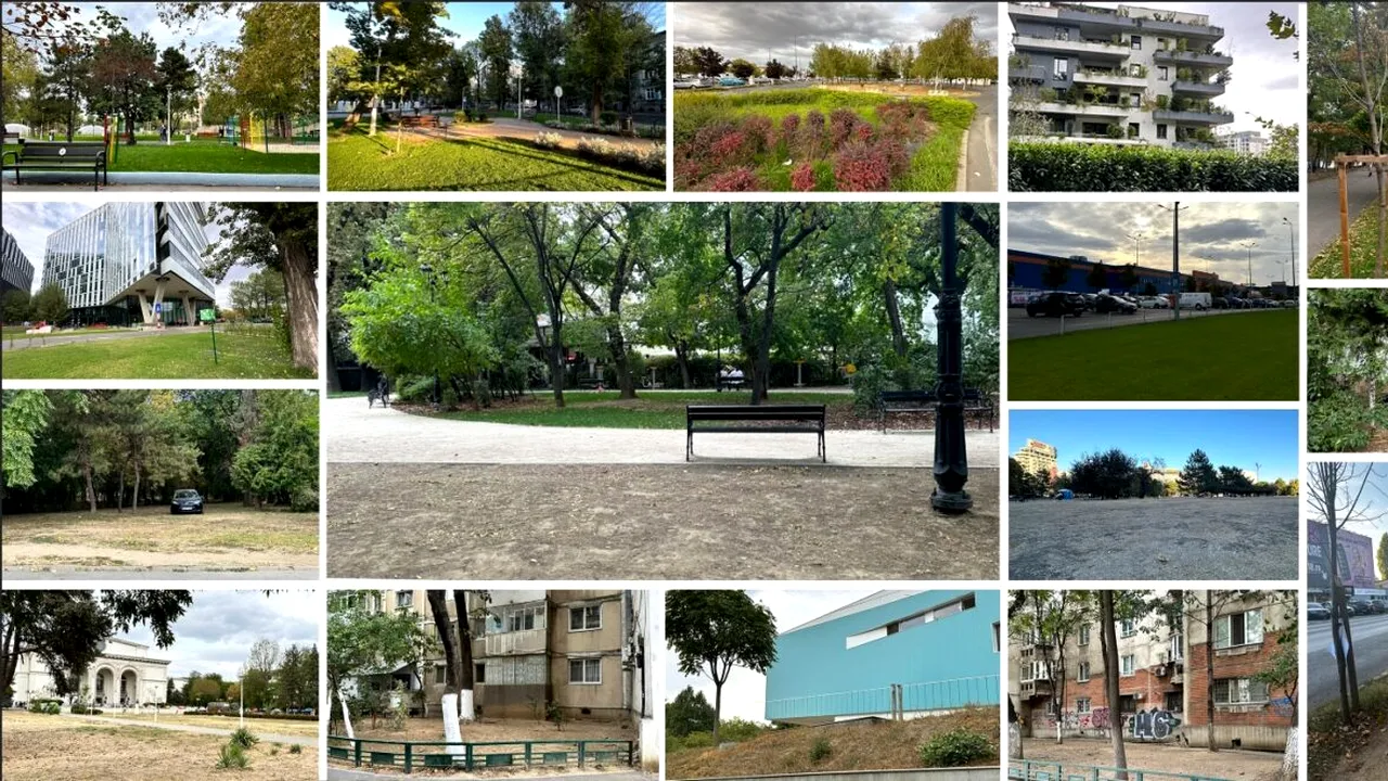 Asociația ÎntreVecini solicită creșterea suprafeței spațiilor verzi din orașele din România