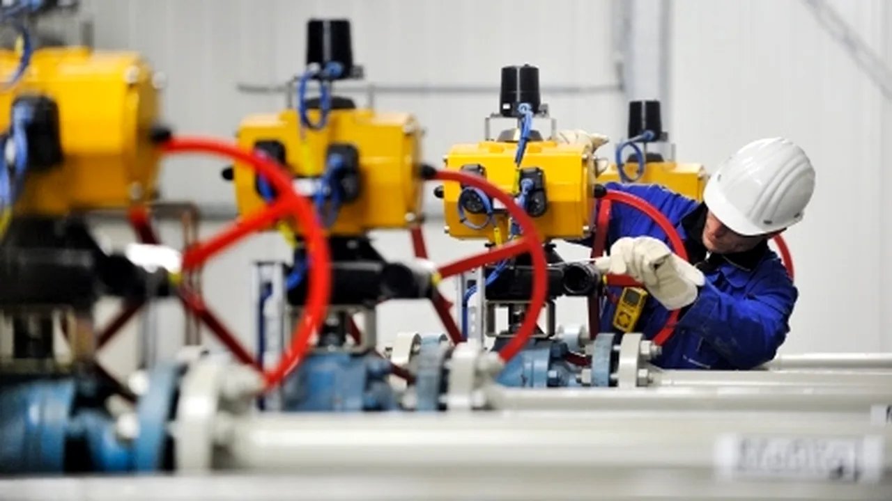 (P) Pentru companii.
Reviziile și verificările instalațiilor de gaze naturale, o prioritate pentru afaceri
