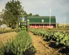 Avertismentul FERMIERILOR. Eliminarea taxării inverse ar aduce un nou val de scumpiri