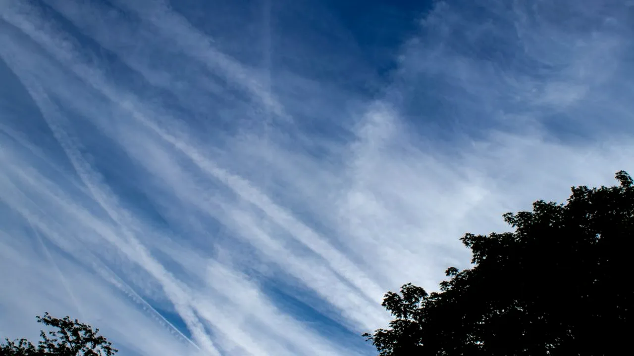 Japonia își asumă să devină neutră din punct de vedere al emisiilor de carbon până în 2050