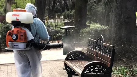 Primăria Capitalei vrea să aloce peste 22 de milioane de lei pentru deratizarea și dezinsecția din 2022