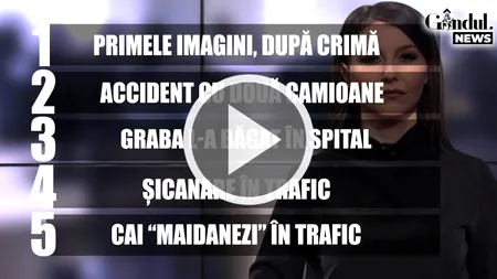 GÂNDUL NEWS. Cai fără stăpân, filmați pe străzile din Dej