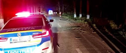FOTO. Sfârșit cumplit pentru un tânăr de 21 de ani din Tulcea. A pierdut controlul volanului și a intrat cu mașina într-un copac