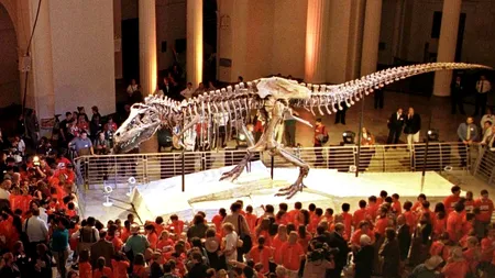 Un miliardar australian vrea să CLONEZE UN DINOZAUR