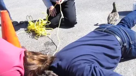 Micii eroi din jurul nostru. De ce sunt acești oameni întinși în mijlocul străzii