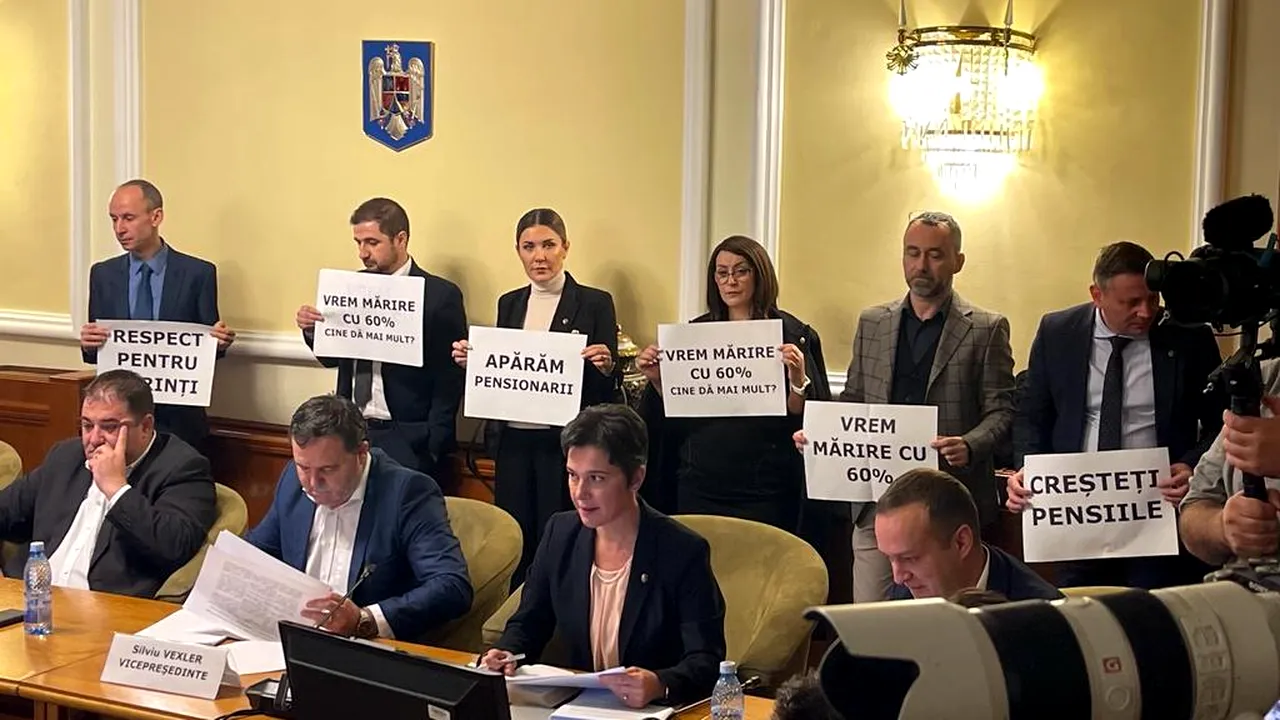 VIDEO | Ce spune opoziția despre Legea pensiilor, după dezbaterile din Comisie/ Seidler: Doamna ministru încearcă să ducă cu zăhărelul pensionarii