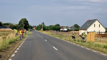 Autoritățile din Ilfov continuă lupta împotriva ambroziei în mai multe comune, din Afumați până în Grădiștea (P)