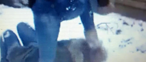 O elevă de doar 17 ani calcă pe cap o colegă. Un VIDEO umilitor. Reacția poliției din Ploiești