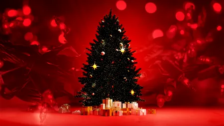 VIDEO EXCLUSIV | Magia luminii de sărbători. Cât costă instalațiile de Crăciun