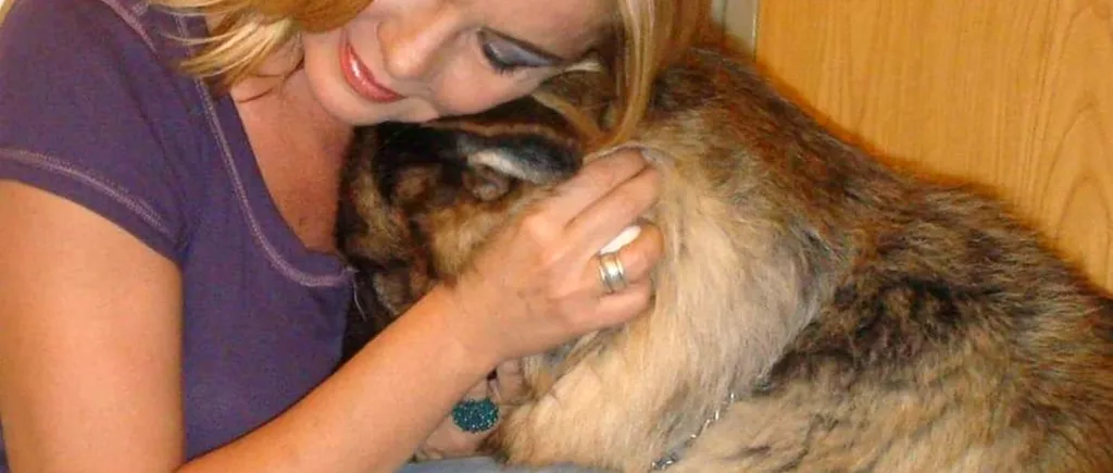 Ce s-a întâmplat cu cei doi câini morți găsiți în casa Cristinei Țopescu
