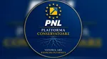 Ce este Platforma Conservatoare a PNL: „Partidul se află în fața unui risc real de îndepărtare de tradiția sa liberal-conservatoare”