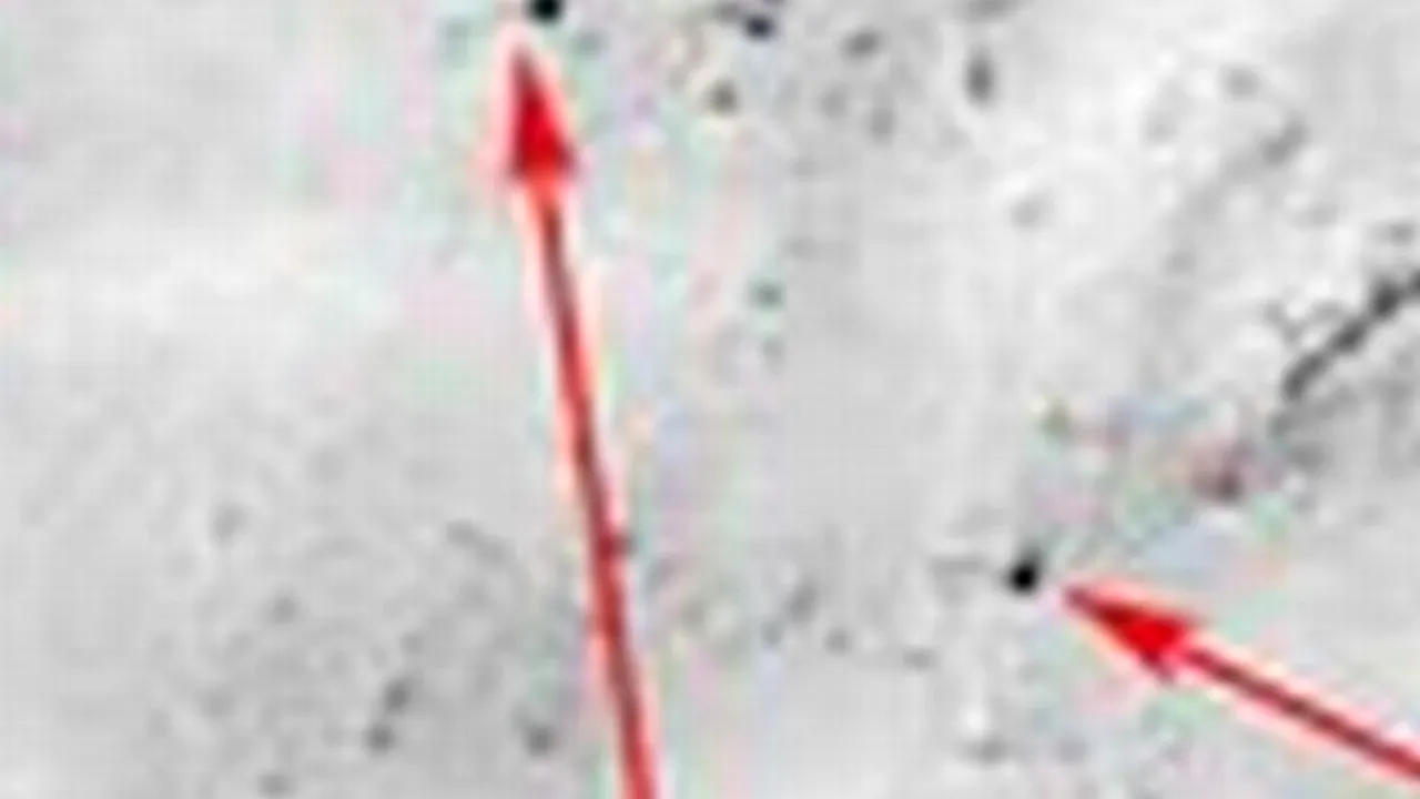 FOTO: Mister deslușit după 42 de ani. Explicația este în această fotografie