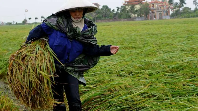 Ajutor pentru nord-coreenii înfometați. Vietnamul donează 5.000 de tone de orez țării lui Kim Jong-un