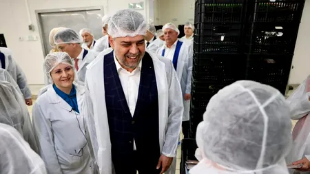 Marcel Ciolacu laudă performanța CRIS-TIM: Îmi doresc să văd numeroase alte companii locale care să se dezvolte în acest mod