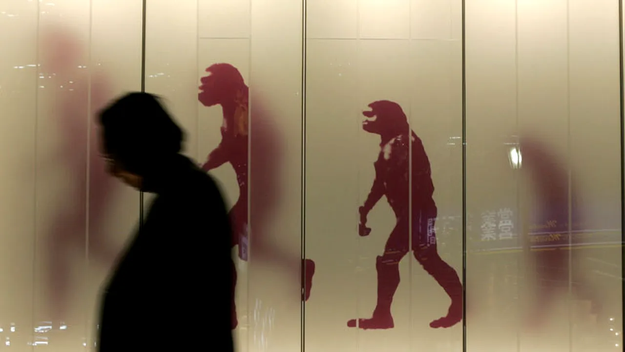Cele mai întâlnite confuzii cu privire la teoria evoluției