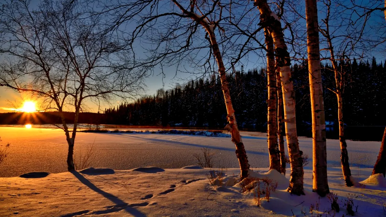 Solstițiul de iarnă. Când pică cea mai lungă zi a anului 2022