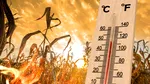 Weekendul vine cu temperaturi aproape caniculare, dar și cu mari surprize. Predicții meteo de ultimă oră de la ANM