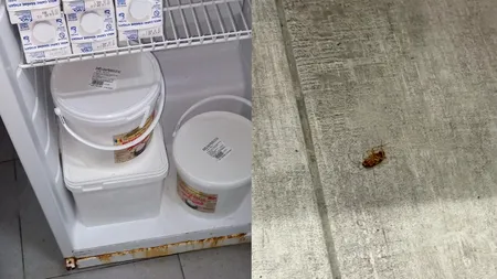 Piedone și inspectorii ANPC, razie în hotelurile și restaurantele de pe LITORAL. Gândaci și mizerie în mai multe localuri