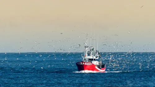 Pescarii britanici susțin că Brexit este „o trădare”. Industria pescuitului se confruntă cu pierderi de un milion de lire sterline pe zi