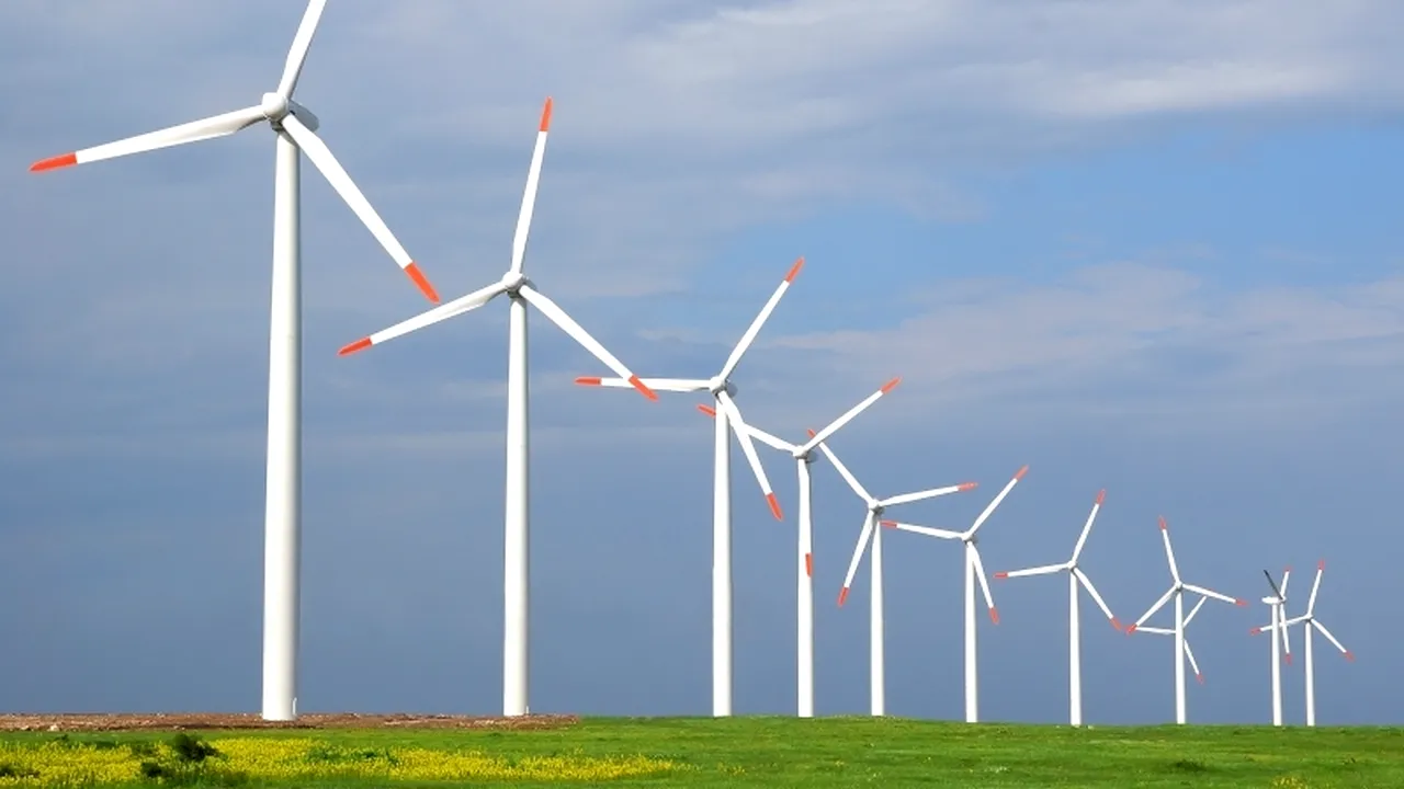 Director Translectrica: Producătorii de energie verde trebuie să cedeze o parte din ajutorul de la stat