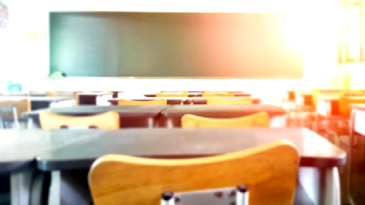 Tezele din acest an școlar sunt suspendate. Cum se va face media semestrială