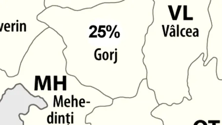 REZULTATE BACALAUREAT 2012. Doar 25% dintre elevii din Gorj au promovat