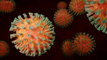 Director OMS: Faza acută a pandemiei de coronavirus s-ar putea încheia în 2022