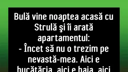 BANC | Bulă, Ștrulă și noul apartament