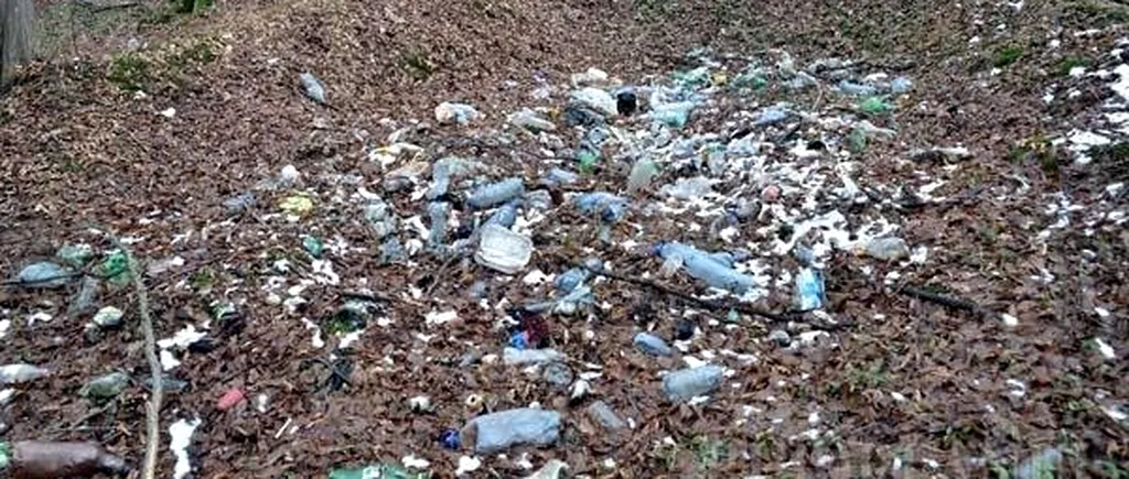 Ce a pățit un bărbat din Slatina, după ce A ARUNCAT saci cu gunoi într-o pădure