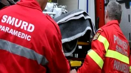 Tragedie cumplită în Vaslui. Un bărbat de 47 de ani a pierit STRIVIT de un copac în timp ce încerca să-l taie